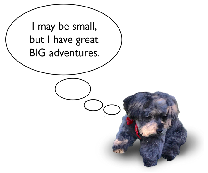 picture of little charley